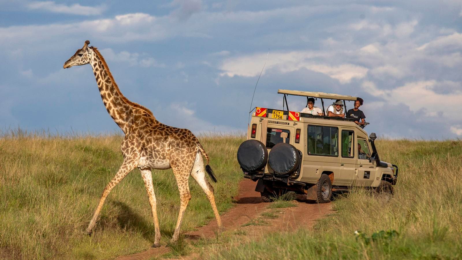 Budget-Friendly Tanzania Safari Packages for Every Traveler