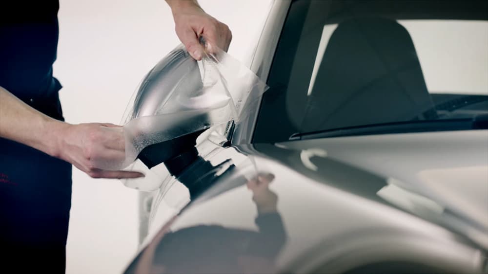 Premium Car Detailing Chattanooga Solutions – Big Dog Detail