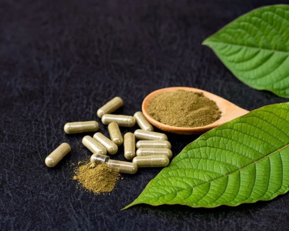 Why Travelers Choose to Buy Kratom Tea Chiang Mai