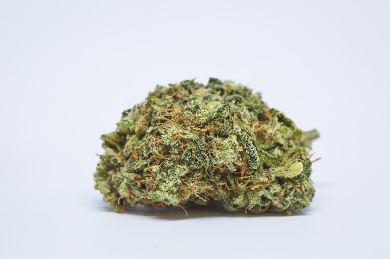 Small buds CBD wholesale con formatos por volumen y trazabilidad garantizada