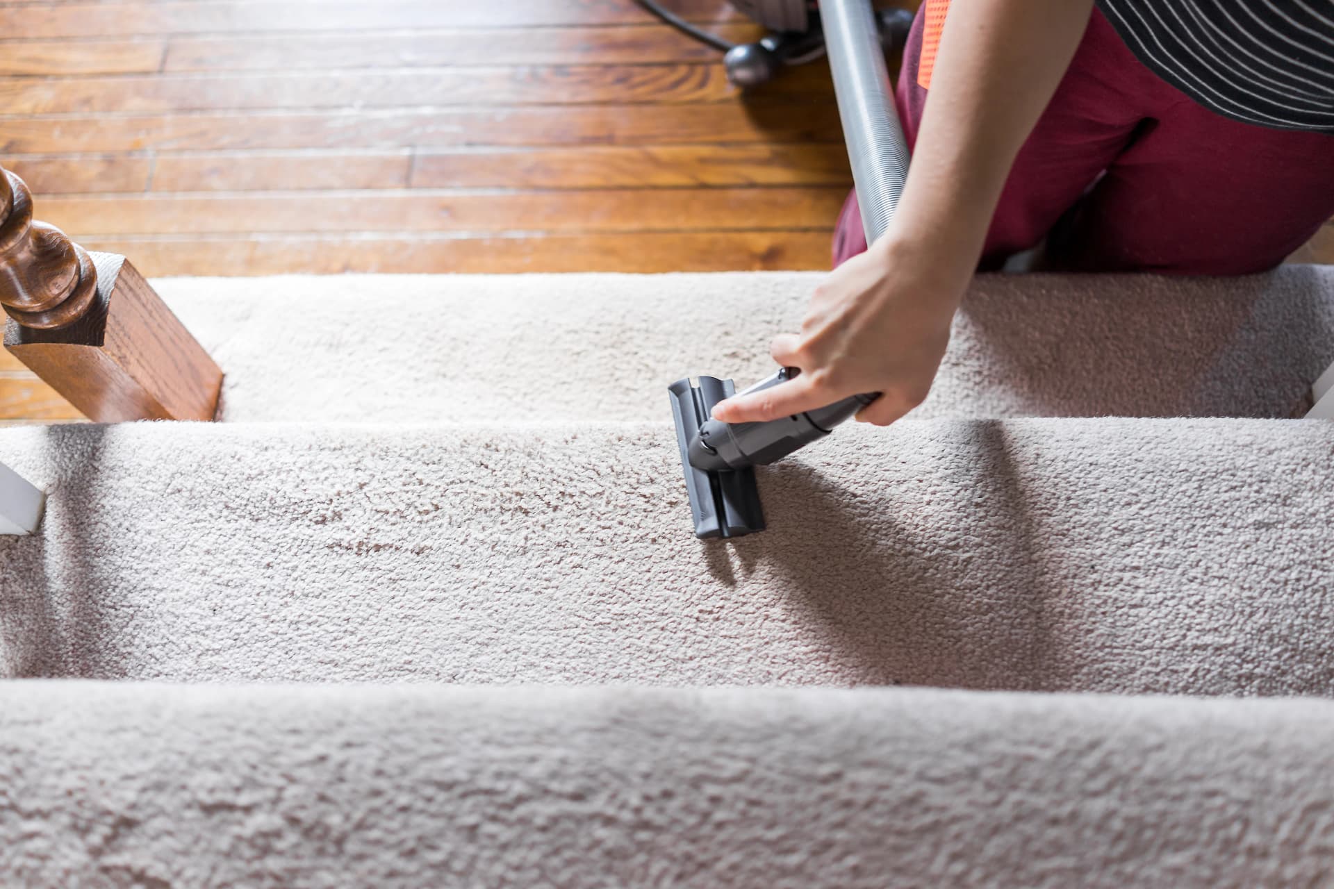 Eco-Friendly Carpet Cleaning Roseville CA Solutions You’ll Love
