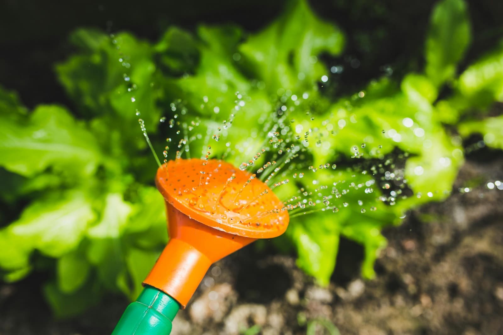 Reliable Professional Irrigation Services in Benbrook, TX by Bob’s Team