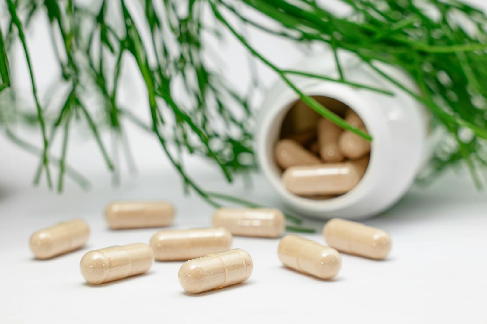 Certified Kosher Vitamins for Trustworthy Daily Nutrition
