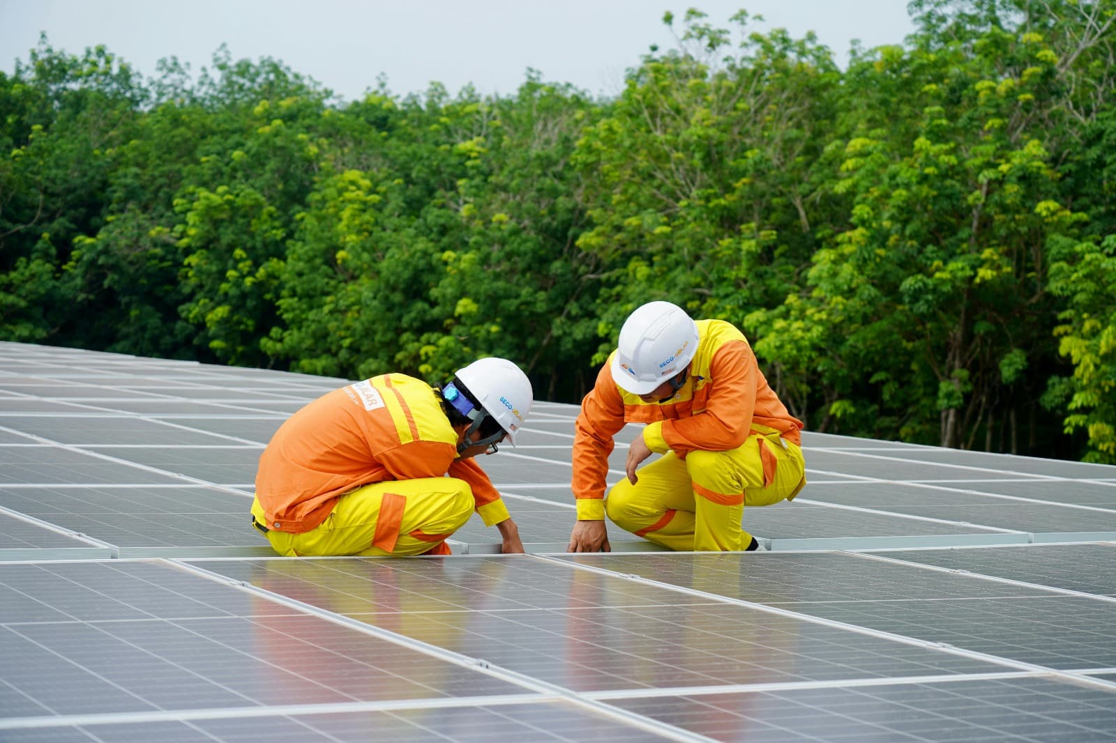 The Benefits of Upgrading to Commercial Solar Nottingham Installations