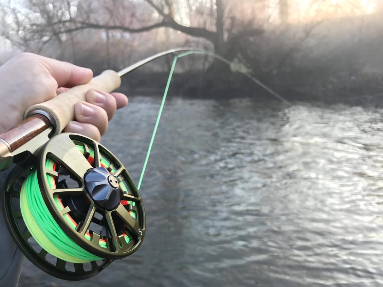 Fly Fishing Line Setup: A Step-by-Step Guide for New Anglers