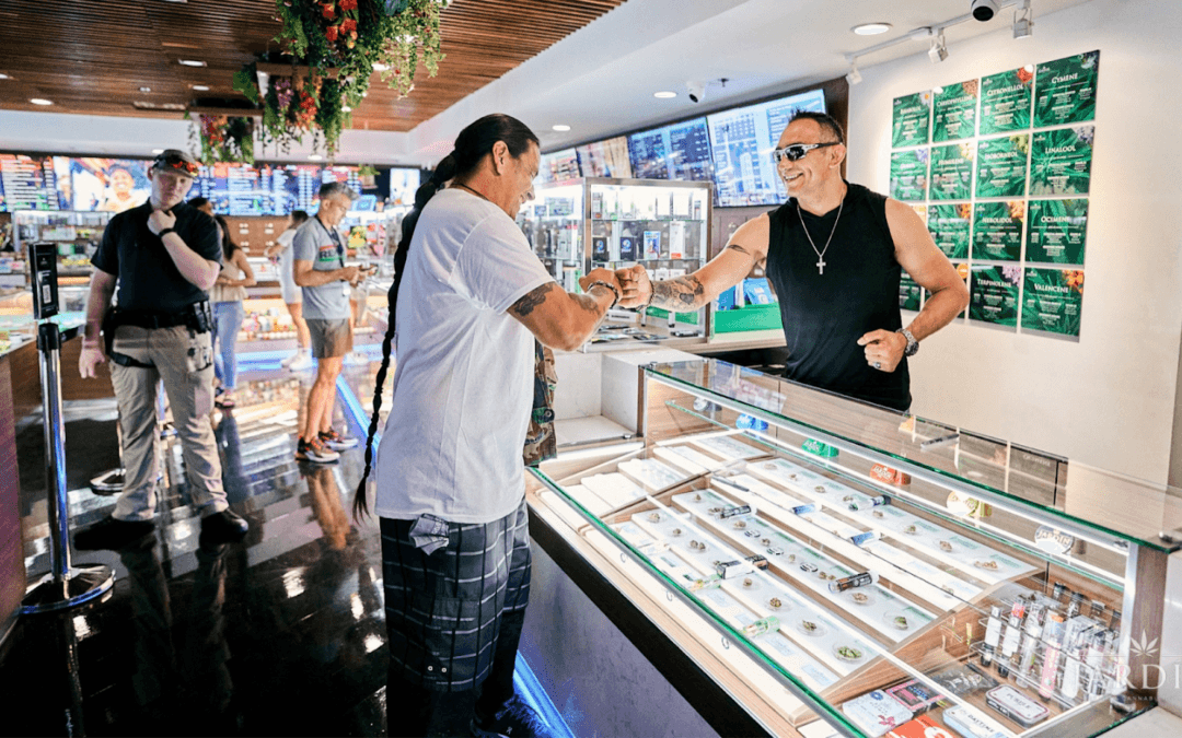 Explore Quality Weed Shops Near Me in Dartmouth Nova Scotia for Your Cannabis Needs