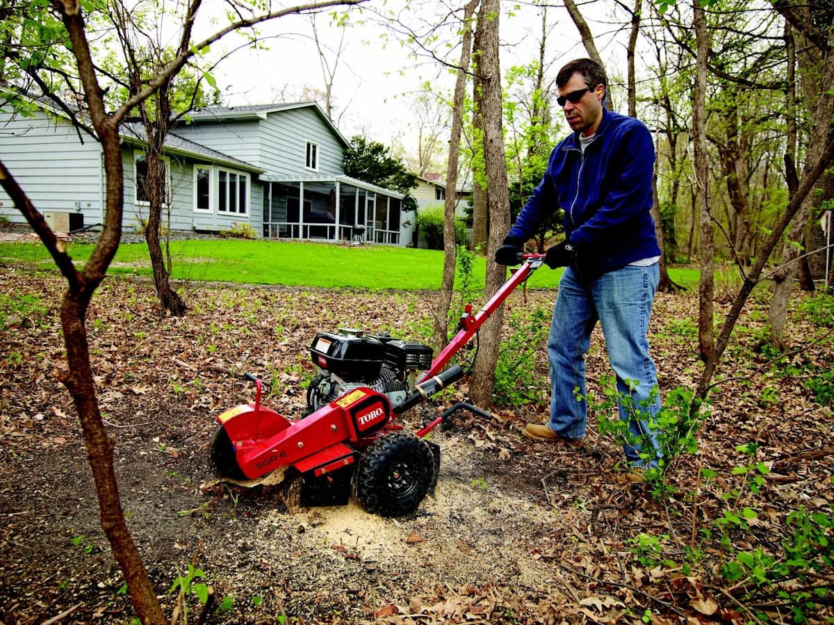 Find the Best Small Stump Grinder for Your Property Needs