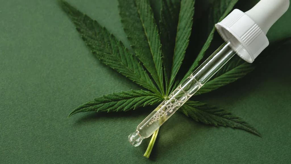 CB9A Cannabinoid: Understanding Its Uses, Effects, and Growing Popularity