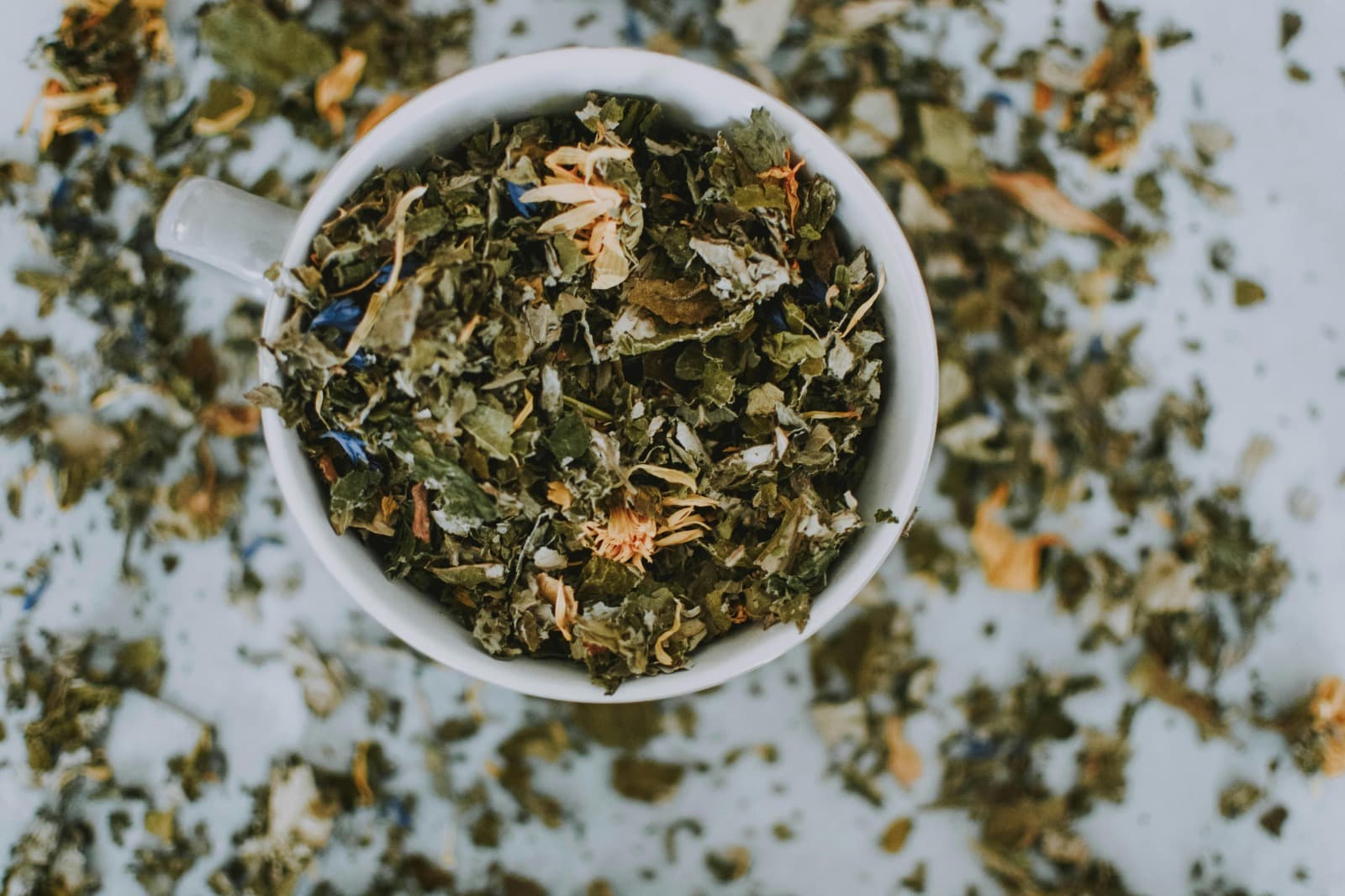 Practical Ayurveda Online Courses with Mobile Learning Access