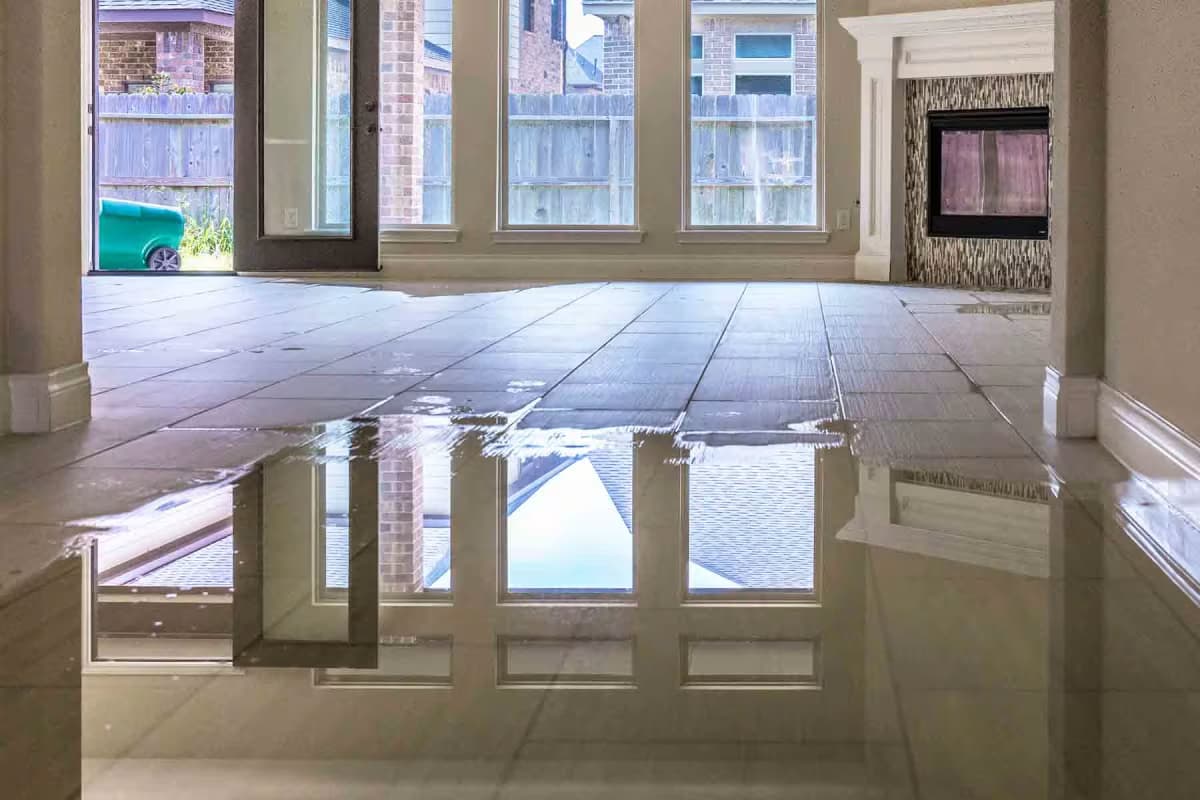 Top Carpet &amp; Water Damage Restoration Zilker Austin TX Services in Austin