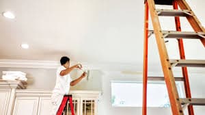 Experienced House Painters Minneapolis for Interior &amp; Exterior
