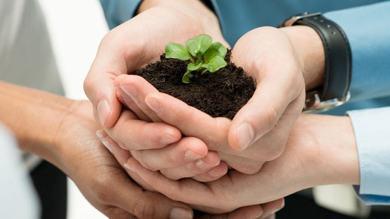 Impresión ecológica en cartón para expositores y PLV