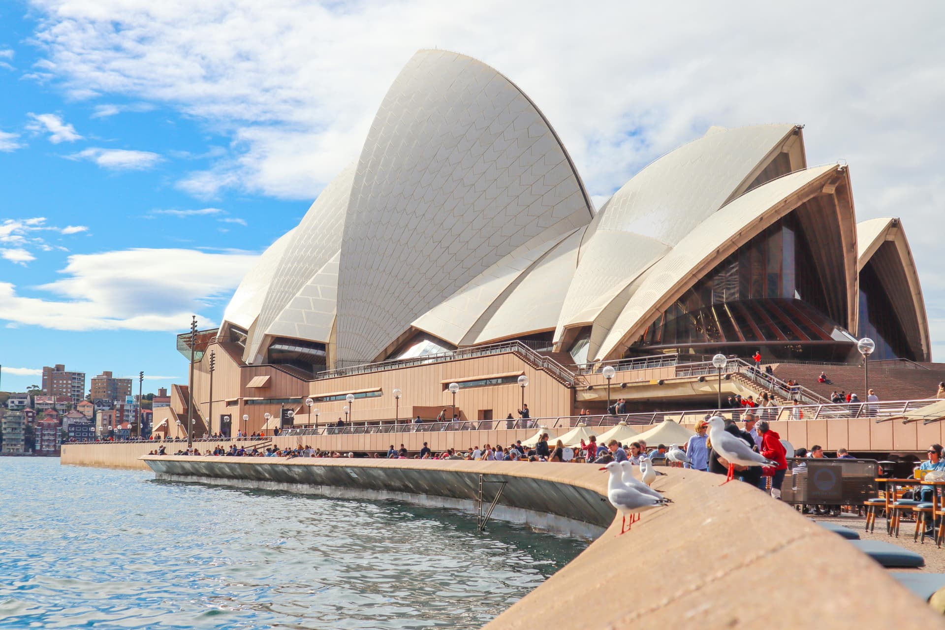 Tour and Travel Made Simple: Affordable Flights and Hotels with Gohaliday