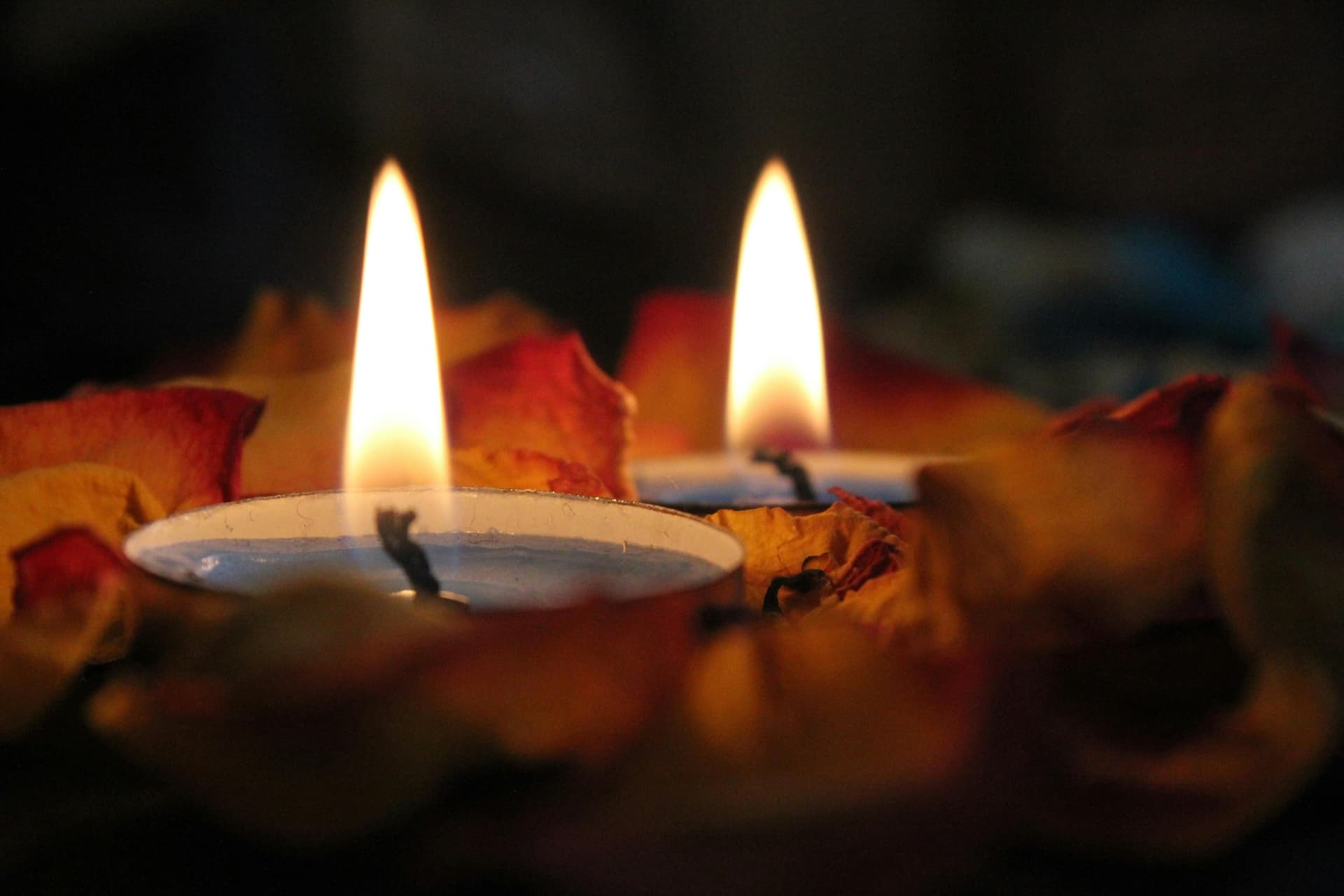 Sustainable All-Natural Candles That Smell Incredible