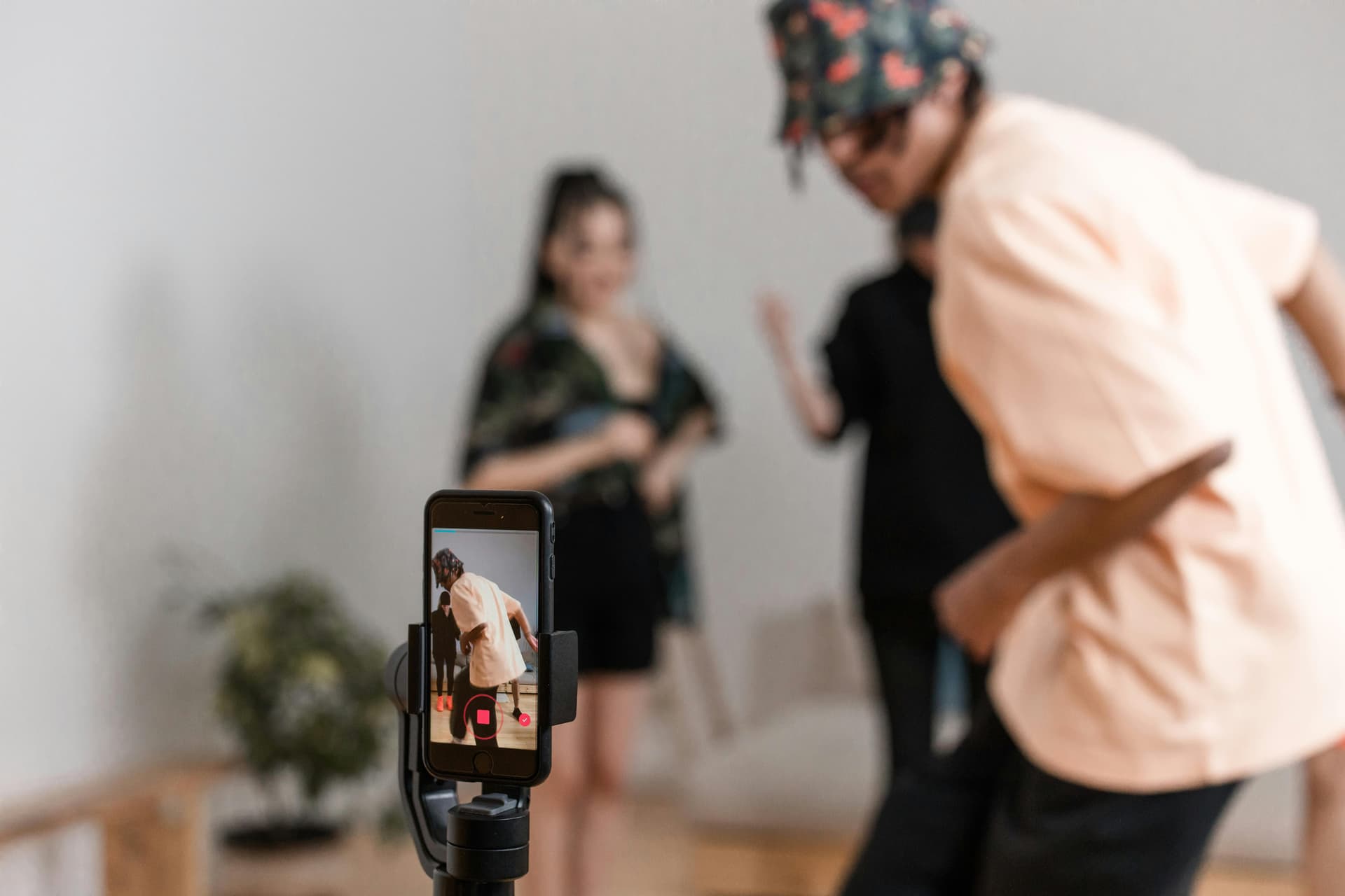 TikTok SMM Panel for Agencies and Resellers