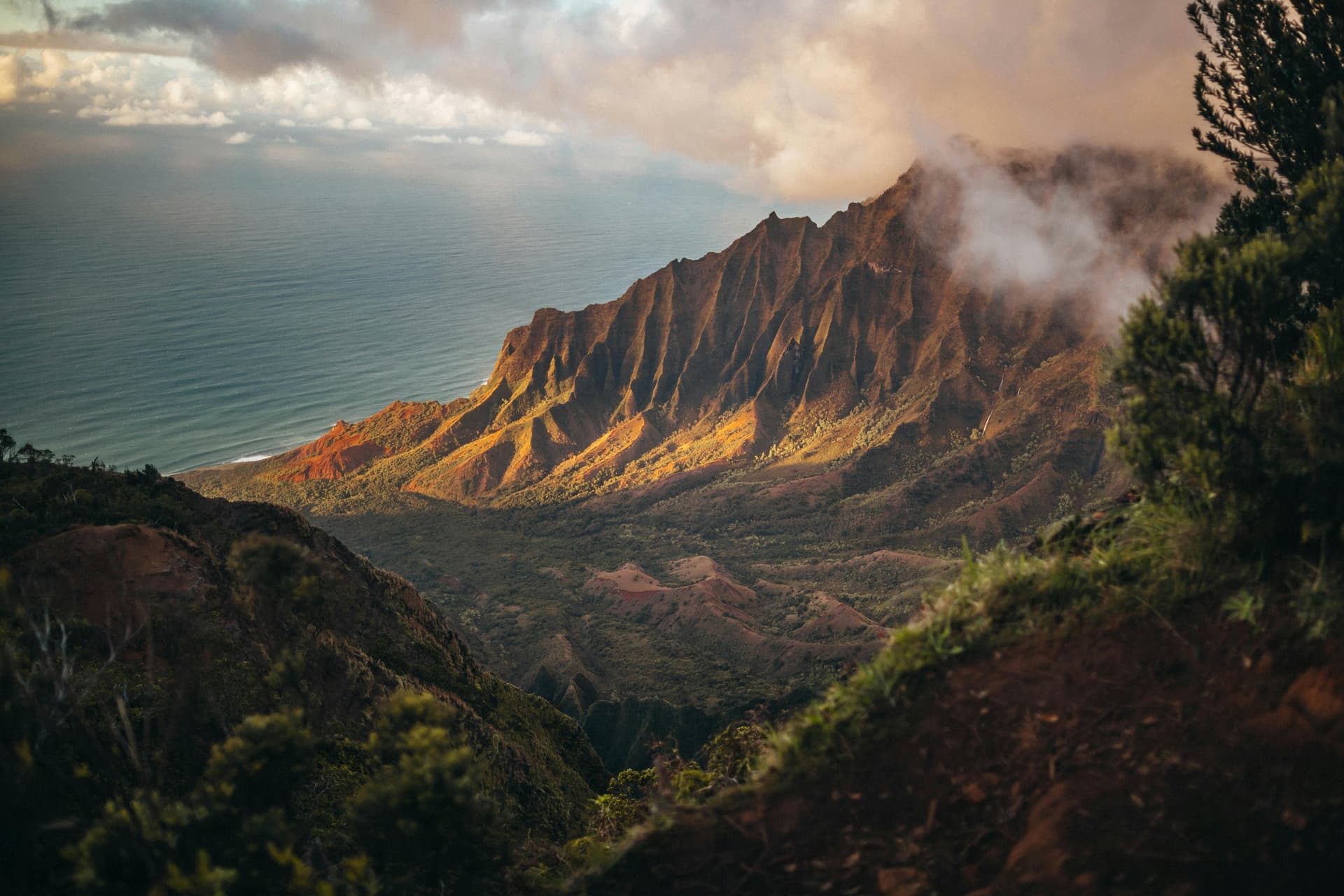 Cool Trails Offering the Best Hiking and Wildlife Tours