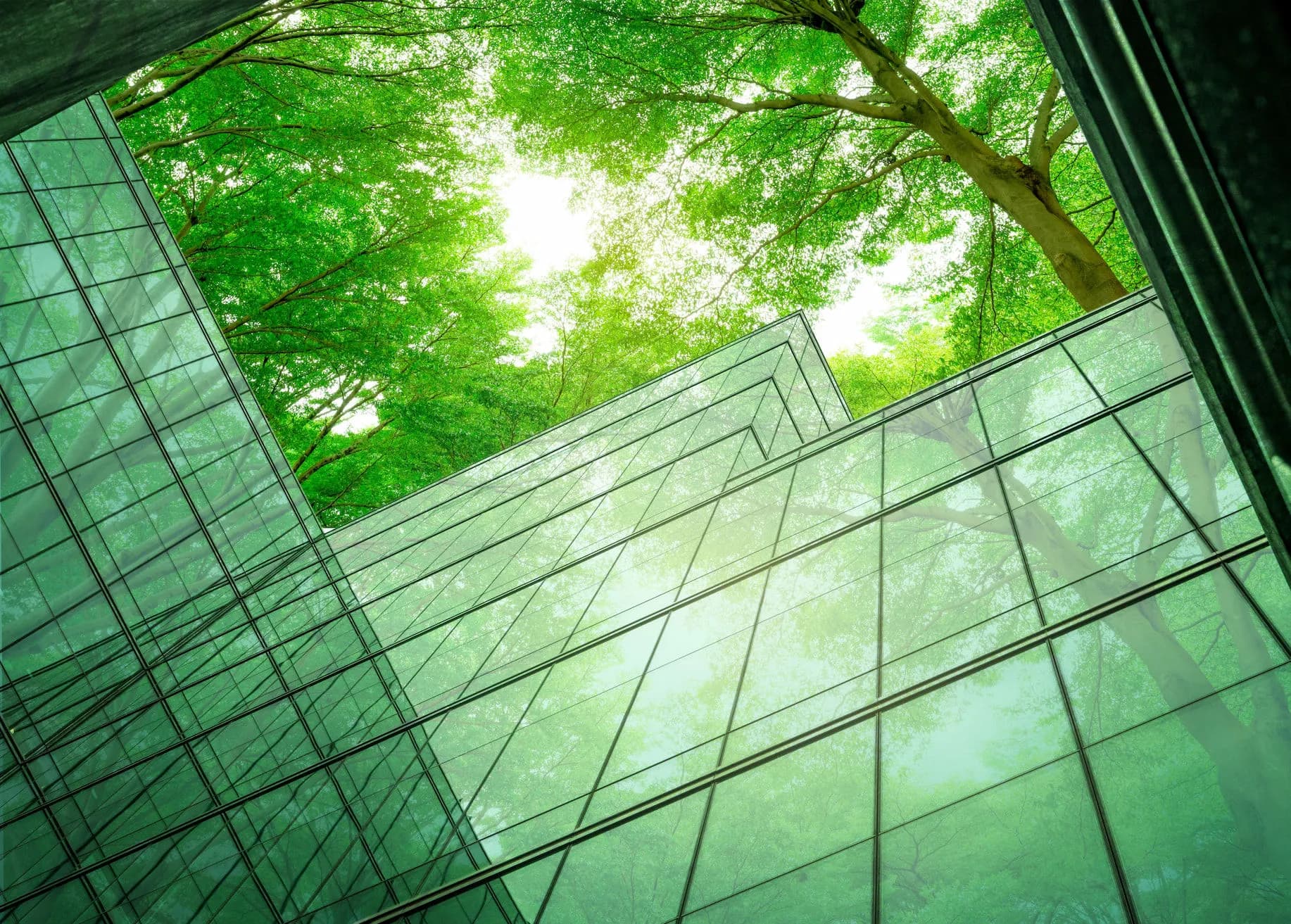 Green Cooling: Eco-Friendly Cooling Technology for Industry