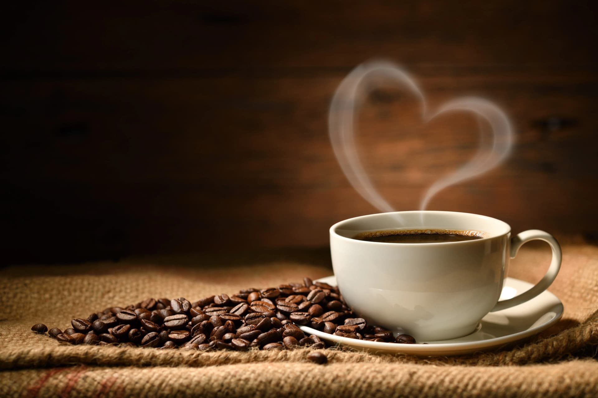 A Celebration of Craft: Defining the Best specialty coffee in North Riyadh