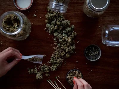 Small buds CBD wholesale con formatos por volumen y trazabilidad garantizada