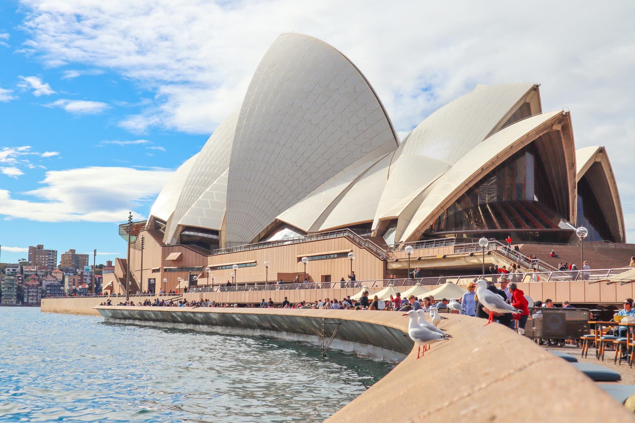 Tour and Travel Made Simple: Affordable Flights and Hotels with Gohaliday