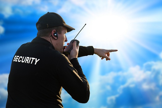 Comprehensive Solutions for Executive and Corporate Security at https://www.grsprotection.com