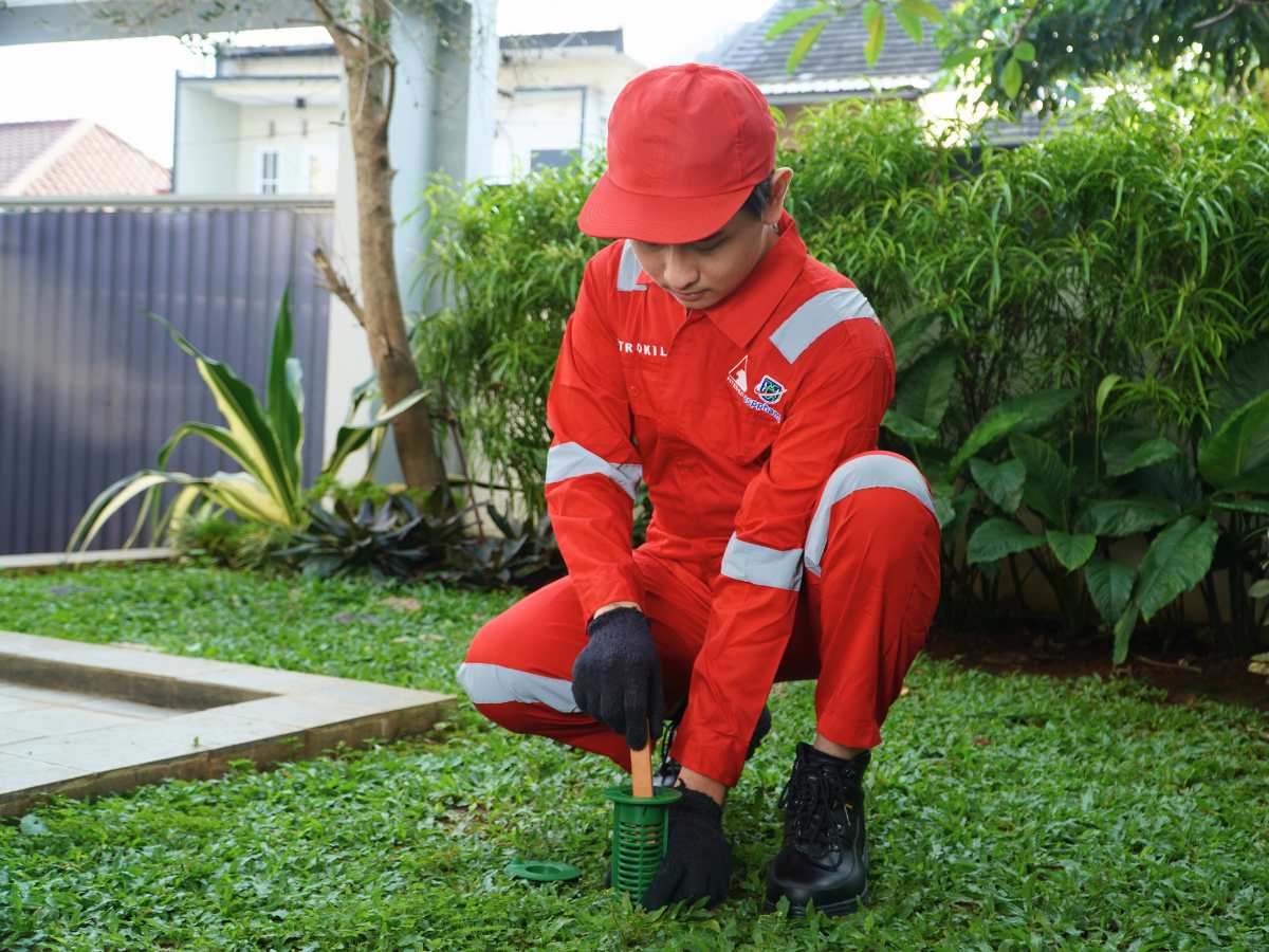 Jasa Anti Rayap Terjamin untuk Perlindungan Jangka Panjang