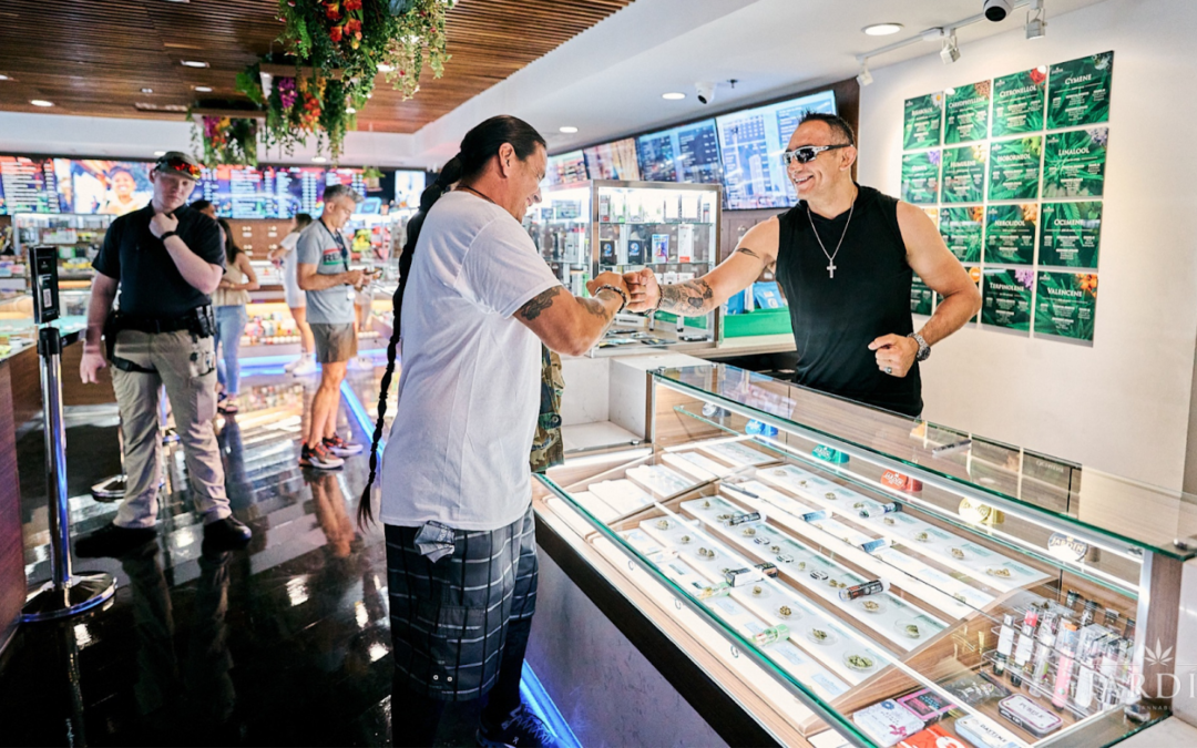 Explore Quality Weed Shops Near Me in Dartmouth Nova Scotia for Your Cannabis Needs