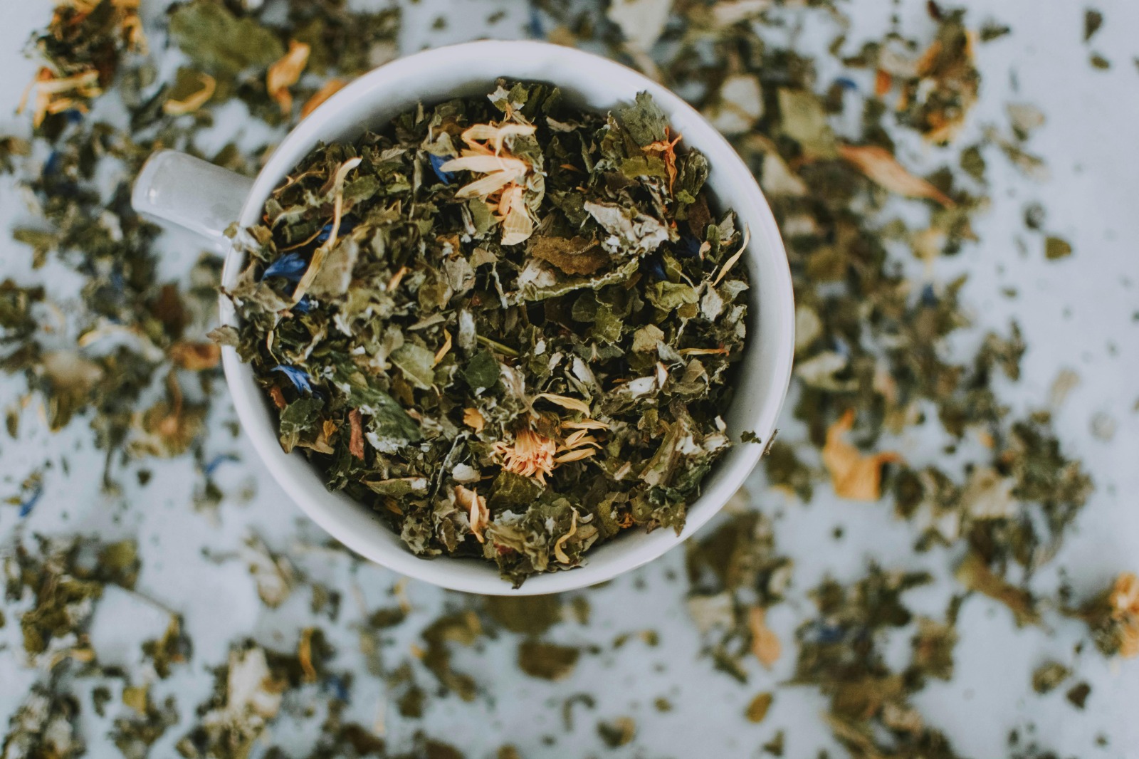 Practical Ayurveda Online Courses with Mobile Learning Access