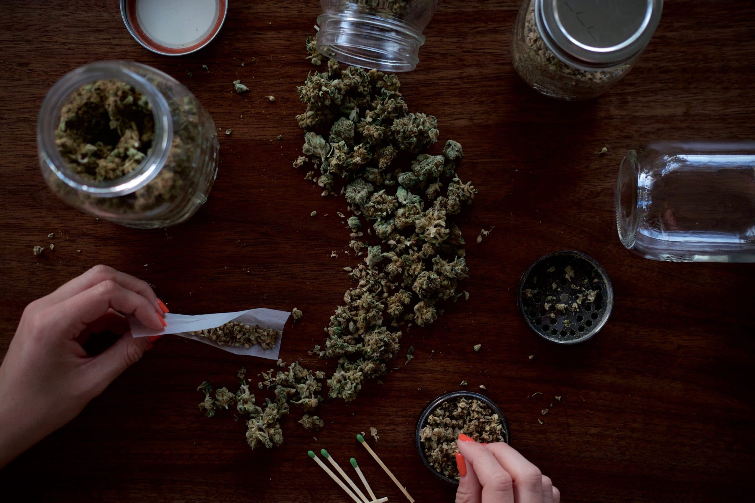Small buds CBD wholesale con formatos por volumen y trazabilidad garantizada