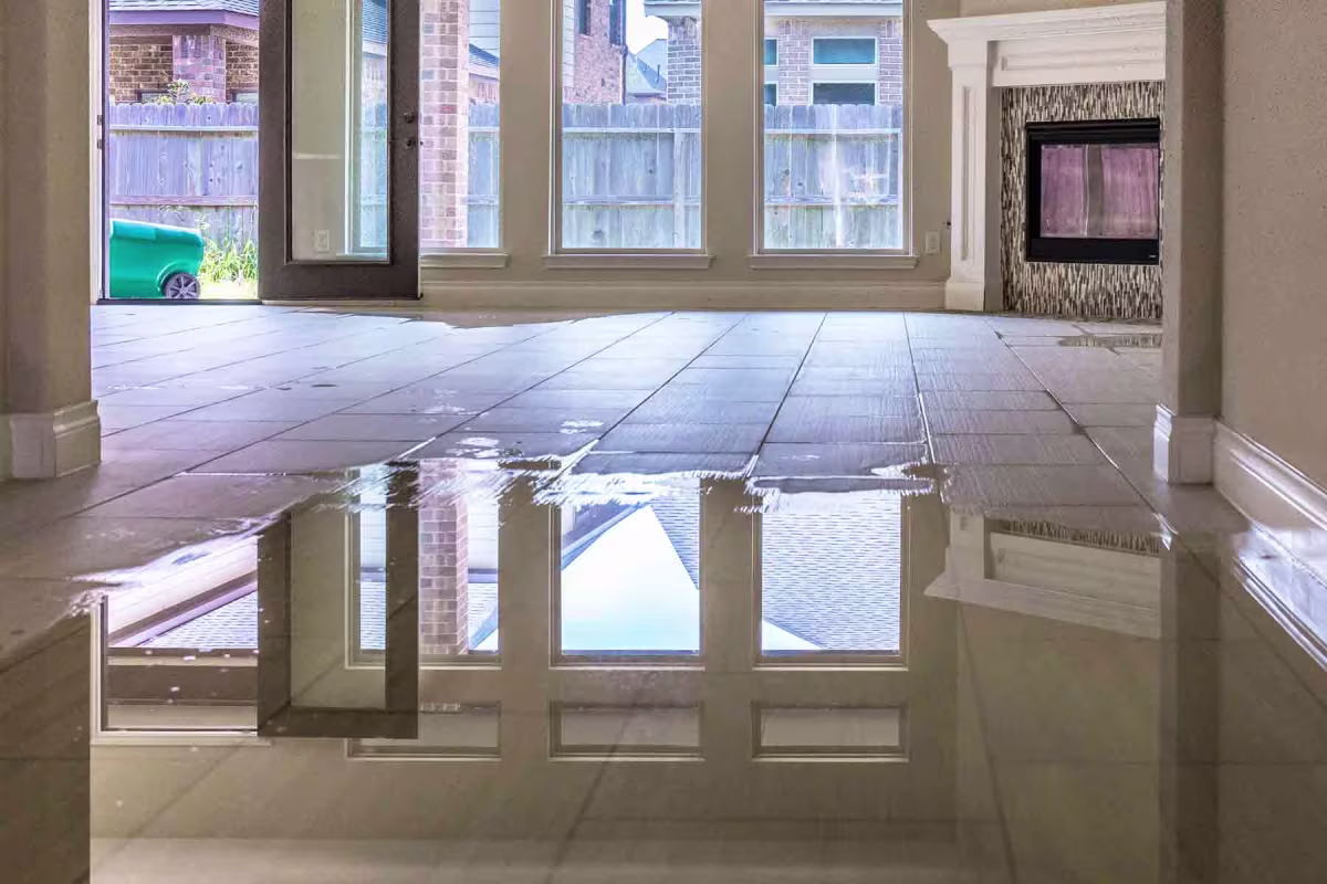 Top Carpet & Water Damage Restoration Zilker Austin TX Services in Austin