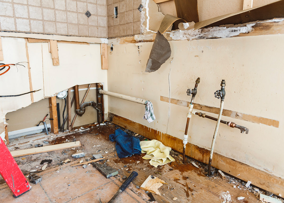 Top Carpet & Water Damage Restoration Zilker Austin TX Services in Austin