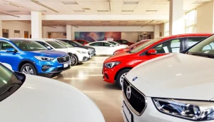 Certified used cars displayed prominently in a bright, modern showroom, inviting customer engagement.
