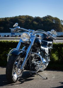 pexels-joerg-mangelsen-337913024-34381388