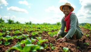 Petani toto bertani di ladang subur, menunjukkan dedikasi dan kerja keras.