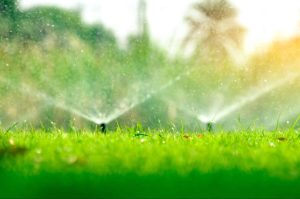 irrigation-sprinkler-drainage-and-landscape-lighting-services-in-celina-tx